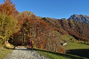 Al Rif. GRASSI (1987 m) e allo ZUC DI CAM (2195 m) da Ceresola (Valtorta) il 14 ottobre 2017  - FOTOGALLERY